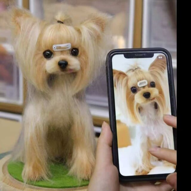 受注作製】羊毛フェルト、うちの子、犬ぬいぐるみ、フェルト犬
