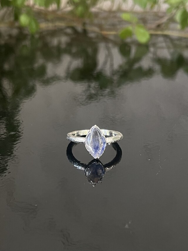 ファンシーカボのデュモルチェ