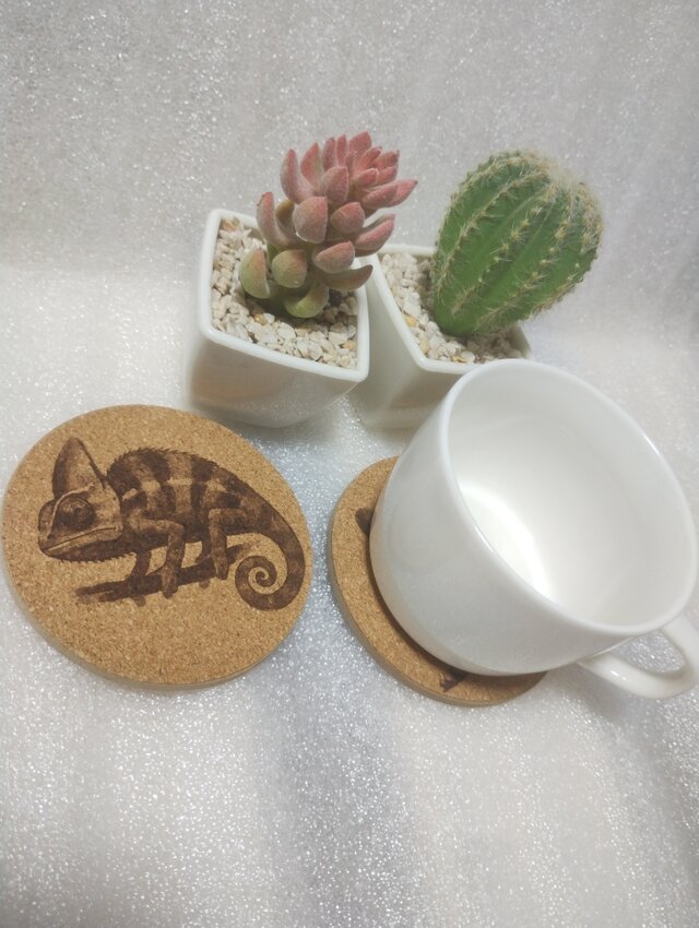 コースター カメレオン③