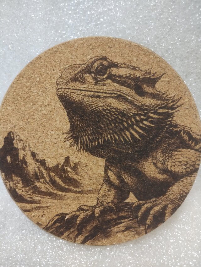 コースター　フトアゴヒゲトカゲ③
