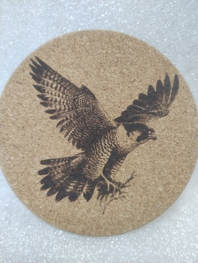 コースター　ハヤブサ