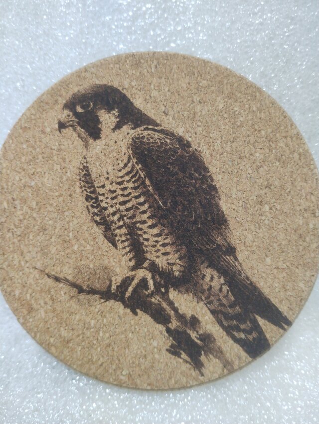 コースター　ハヤブサ②