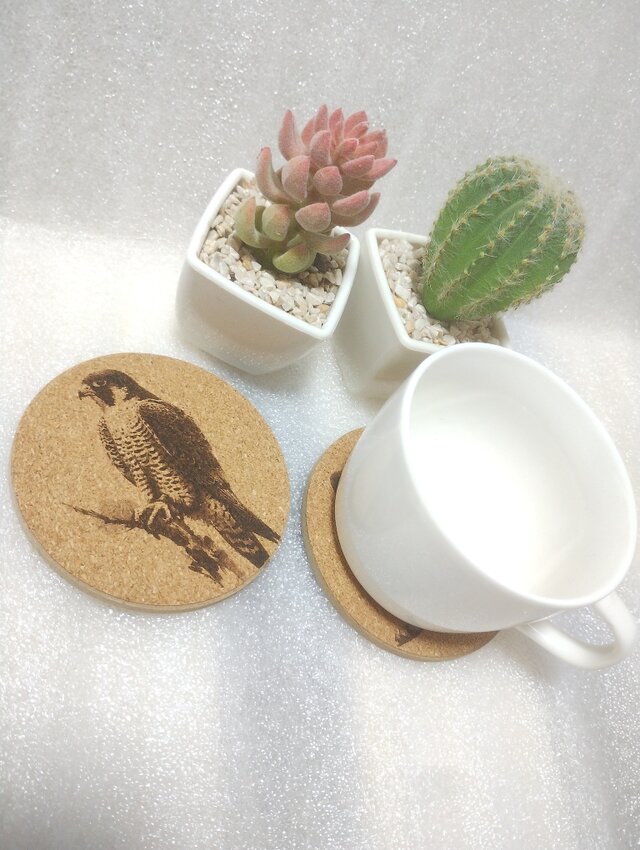 コースター ハヤブサ② | iichi 日々の暮らしを心地よくする
