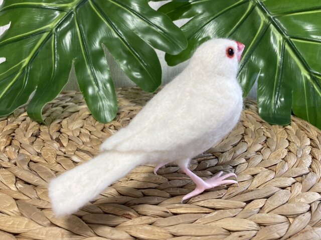 羊毛フェルト白文鳥 | iichi 日々の暮らしを心地よくするハンドメイド