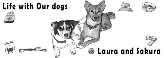 オーダーメイド/うちの子/名入れ/ドライTシャツ/オリジナル/わんこ