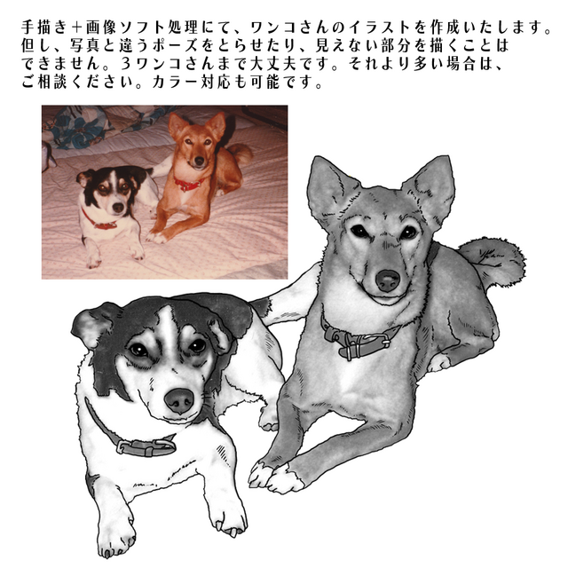 オリジナルイラスト　犬(ハンドメイド) 購入不可 ミニ色紙3枚描けました🐾 こちらも「てんわんかい」にて販売致します