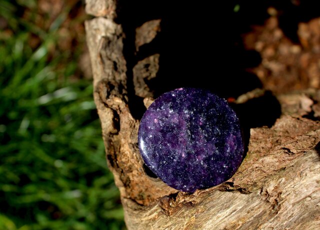 レピドライト パームストーン | iichi 日々の暮らしを心地よくする