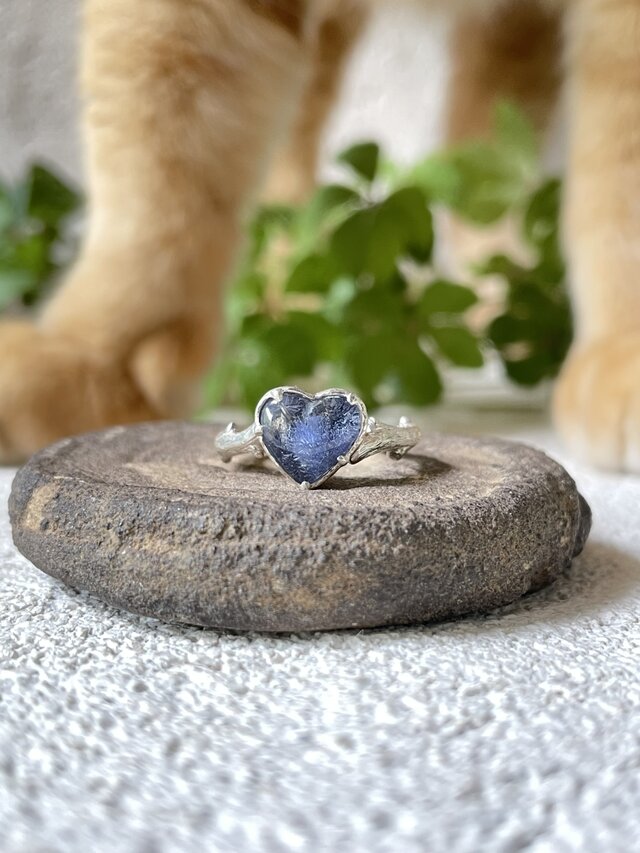 ハート♡カボのデュモルチェ