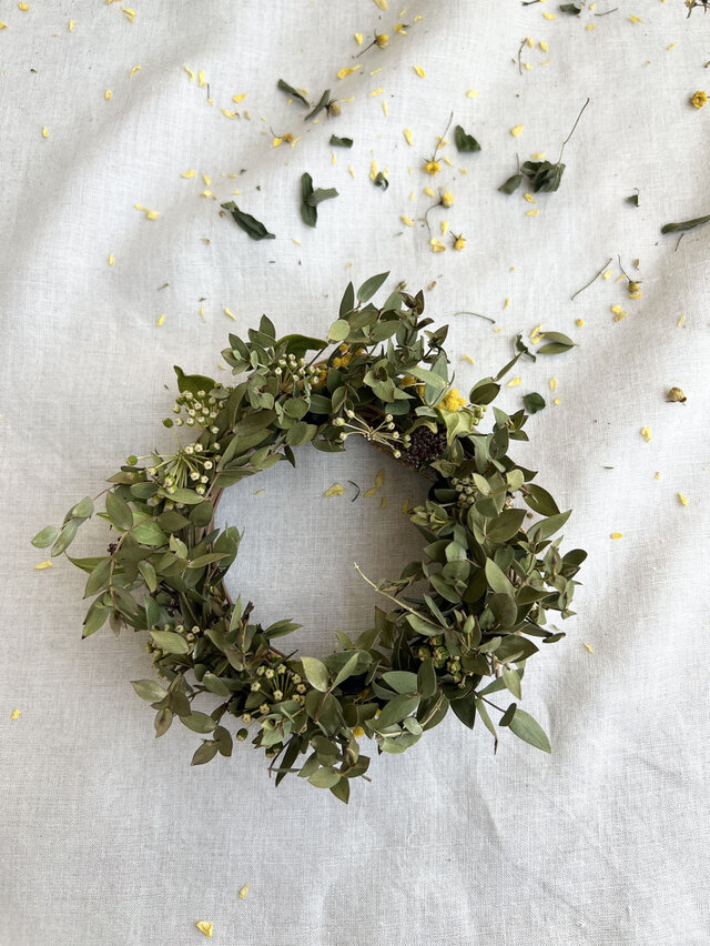 ヤツデの実とユーカリ