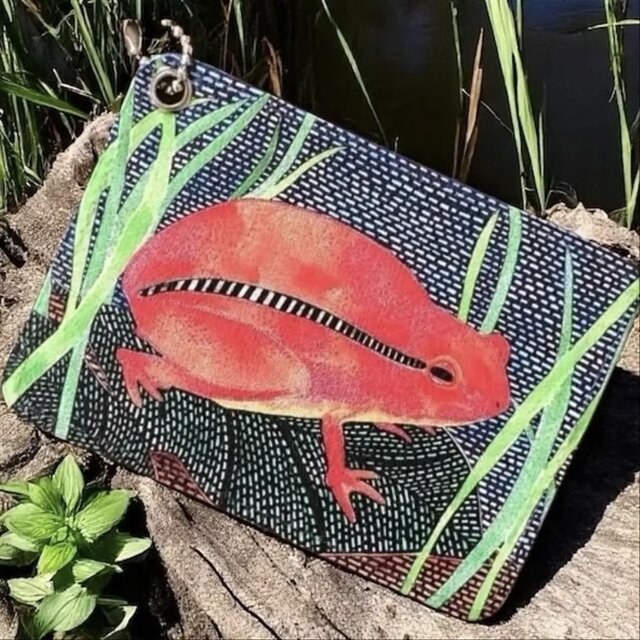 小さな背中と大きなペン｜アケル｜アカトマトガエル｜パスケース