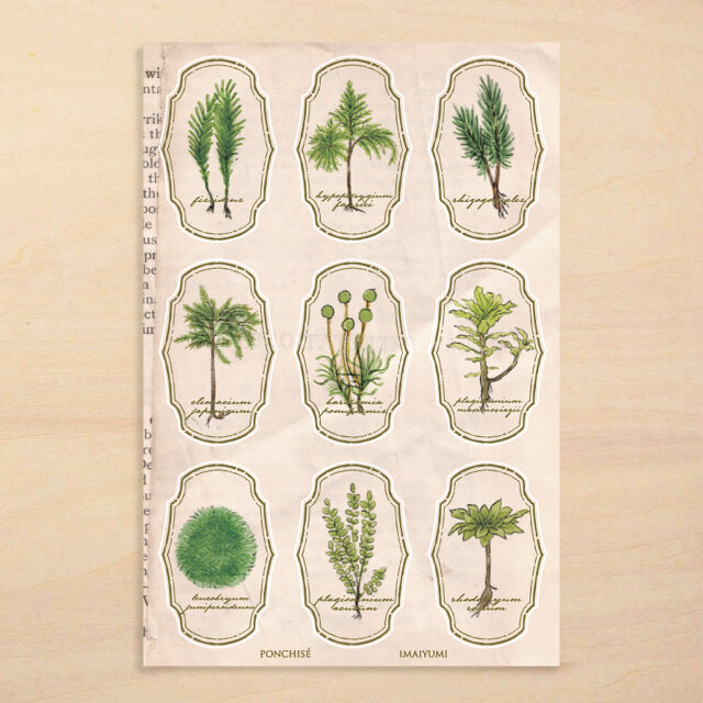 苔標本ステッカー