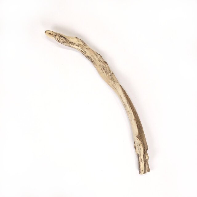 【温泉流木】大きな裂けめと枝跡ふくらむ枝流木 流木素材 インテリア素材 レイアウト素材