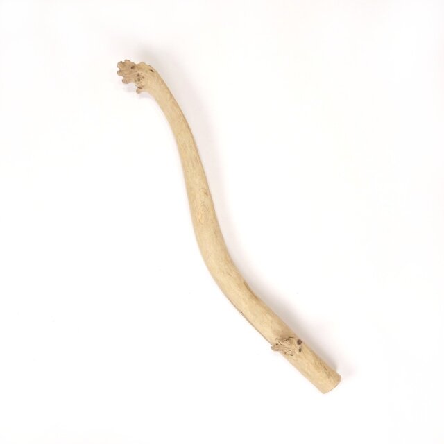 【温泉流木】かわいい集合枝跡とカーブの枝流木 流木素材 インテリア素材 レイアウト素材