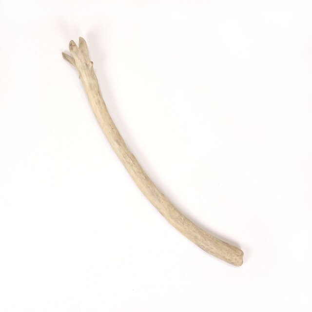 【温泉流木】湾曲から広がる枝がかわいい枝流木 流木素材 インテリア素材 レイアウト素材