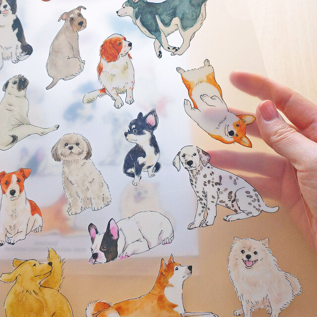A4クリアファイル 犬 | iichi 日々の暮らしを心地よくするハンドメイド