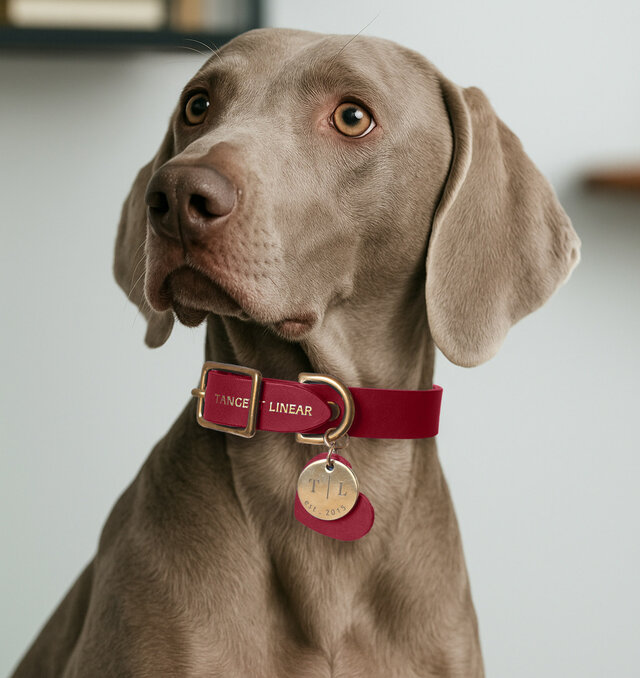 本革ペット首輪 軽量ナローモデル 小型犬・子犬用 オーダー刻印可
