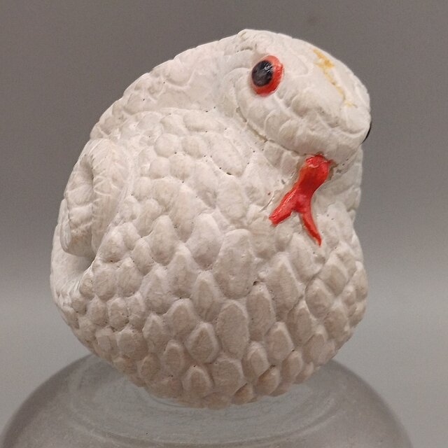 200gAs  アルビノツチノコ2