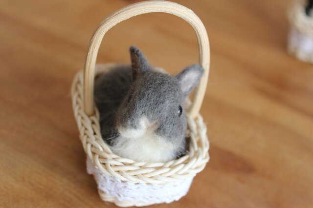 カゴ入り羊毛うさbaby♡ネザーちゃんの画像1枚目