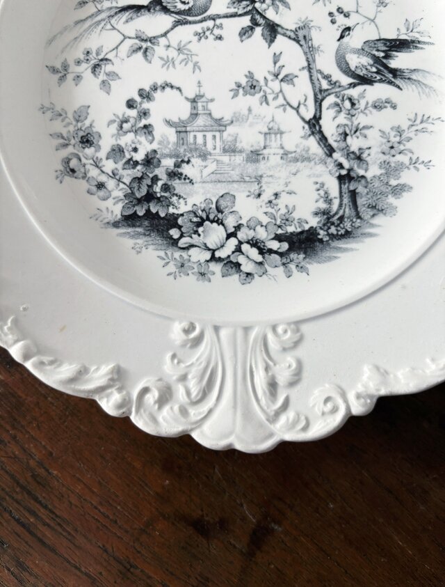 David Johnston ボルドー グリザイユ皿 レリーフ 平皿 φ21.5cm