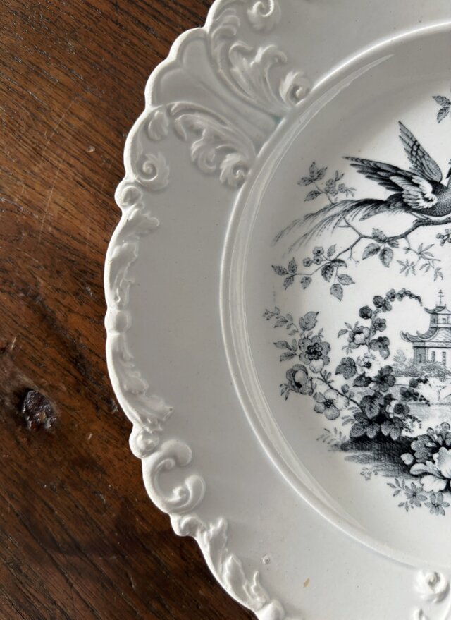 David Johnston ボルドー グリザイユ皿 レリーフ 平皿 φ21.5cm