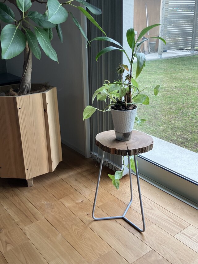 【楓の木と鉄の異素材ミックス】プランタースタンド