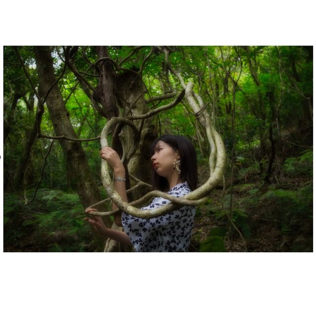 屋久島 魅入られる幻想の森 [3] 【風景写真・ポスターアート
