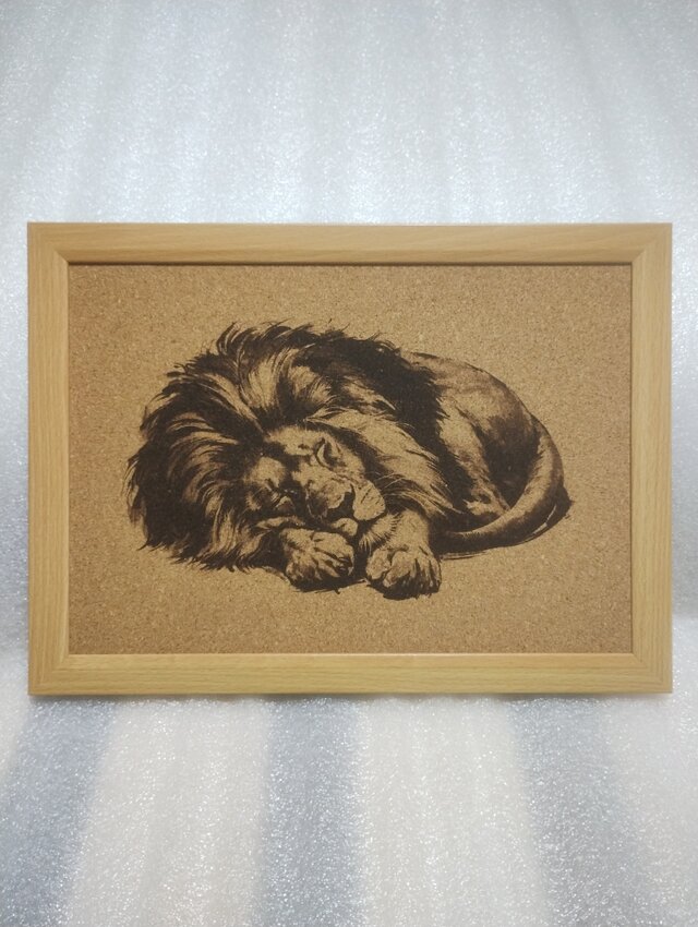 A4コルクシート　熟睡中のライオン