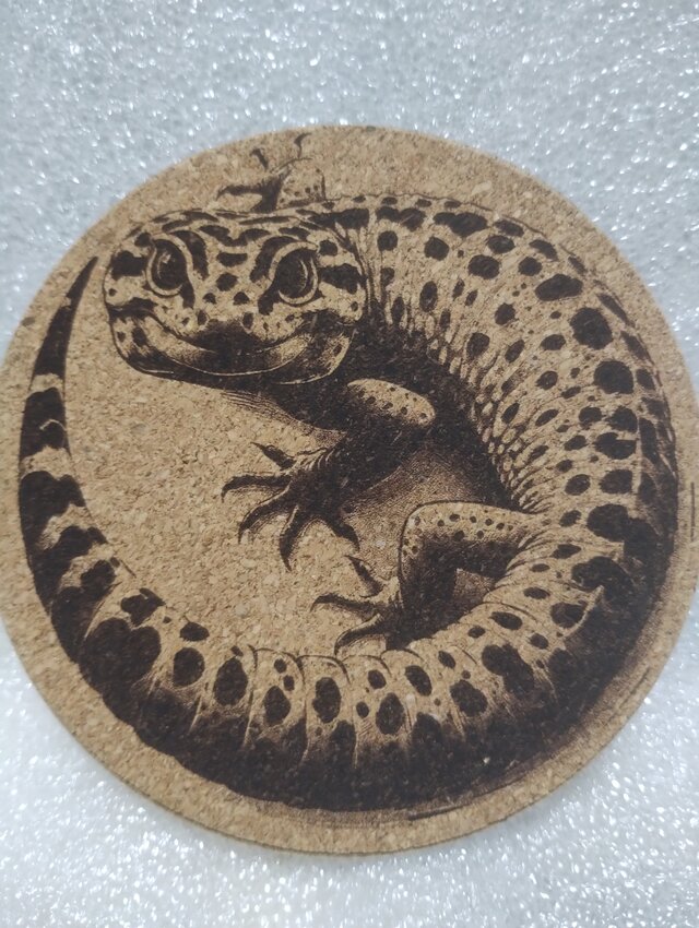 コースター　ヒョウモントカゲモドキ