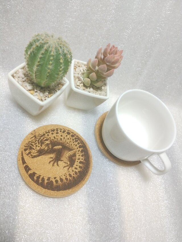 コースター ヒョウモントカゲモドキ | iichi 日々の暮らしを心地よく
