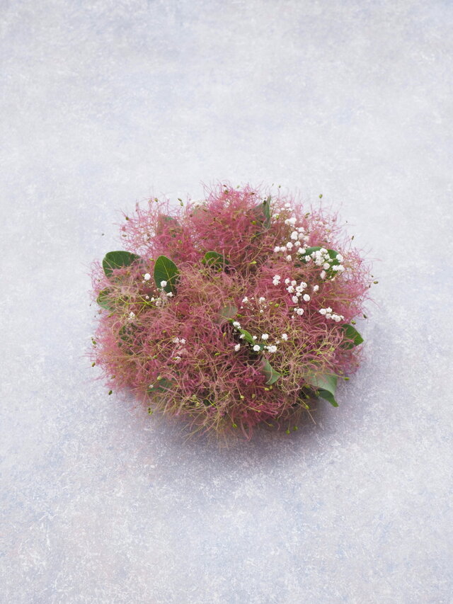 スモークツリーのミニリース18cm -A