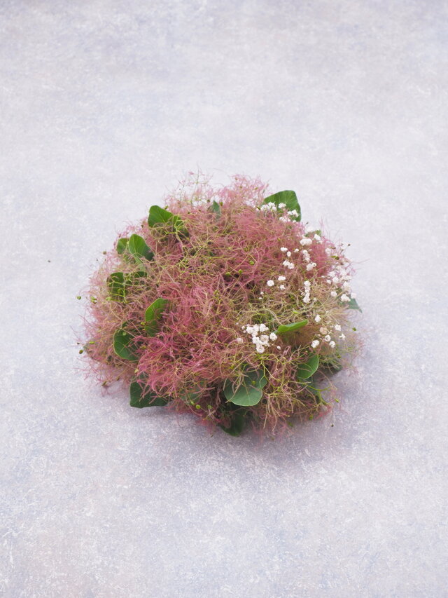 スモークツリーのミニリース18cm -B