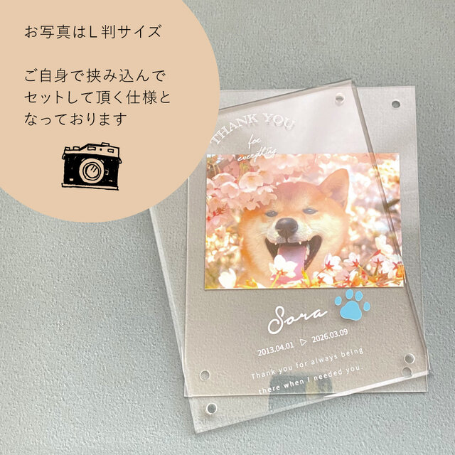 うちの子 フォトフレーム ペット メモリアル 写真立て 遺影 犬 猫 名