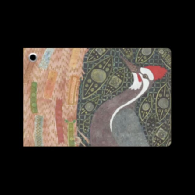 森の朝練｜クラッパ（カンムリキツツキ）のパスケース