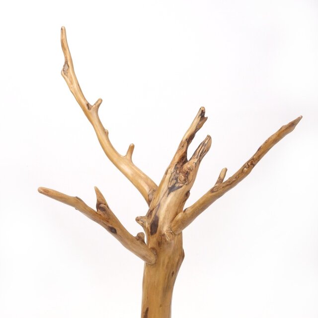 【早い者勝ち】ADA流木3本、他流木2本 2025年最新】ADA 流木、の人気アイテム - メルカリ