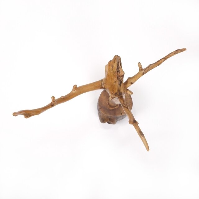 温泉流木】広がる枝流木のアクセサリースタンド柿渋塗フックスタンド