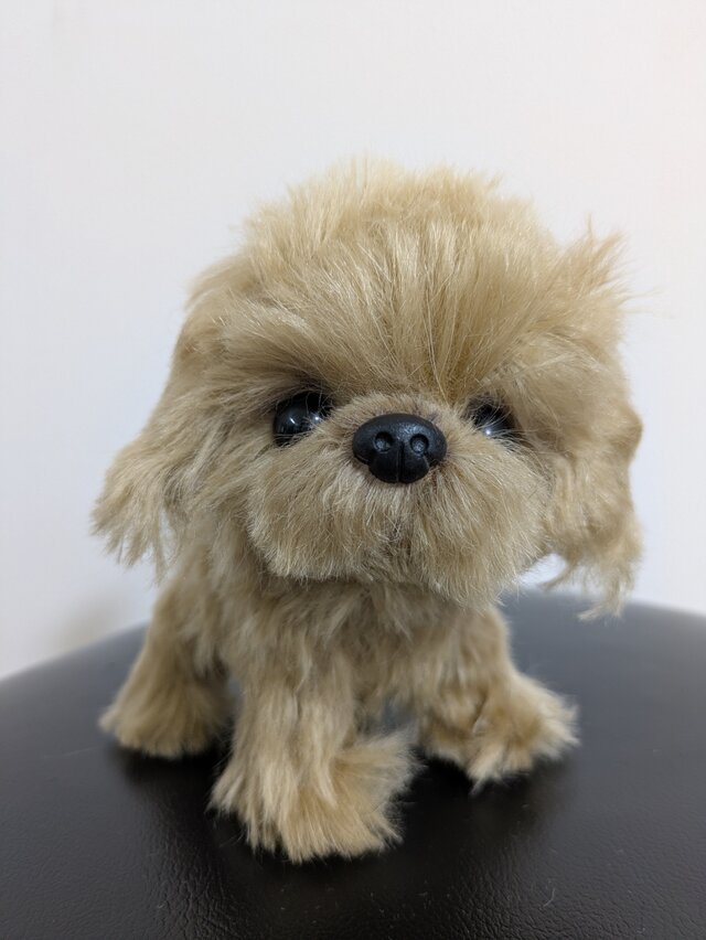 ハンドメイド* ぬいぐるみ*トイプードル トイプードル ぬいぐるみ ハンドメイド ぬいぐるみ ぽぽみ 通販