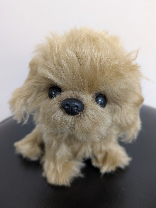 ★ハンドメイド★ トイプードル ぬいぐるみ トイプードル ぬいぐるみ ハンドメイド ぬいぐるみ ぽぽみ 通販