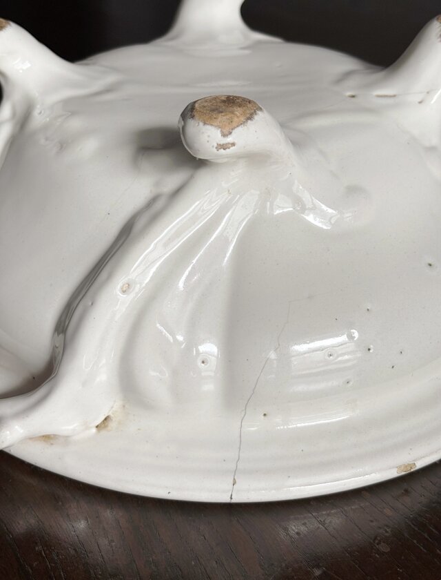 18世紀 白釉 レギュミエ フランス アンティーク 0502150 | iichi 日々
