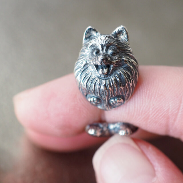 犬リング ポメラニアン