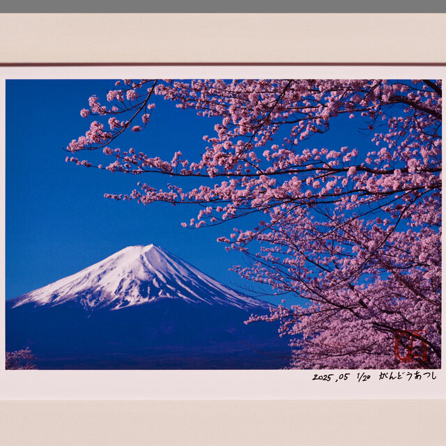 ○『桜と富士山』○がんどうあつし写真撮影・編集落款サイン入り
