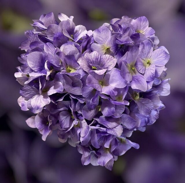 光触媒　人工観葉植物　ウォールグリーン　フェイクグリーン　ハート♡のアジサイ55 光触媒 人工観葉植物 ウォールグリーン フェイクグリーン ハート