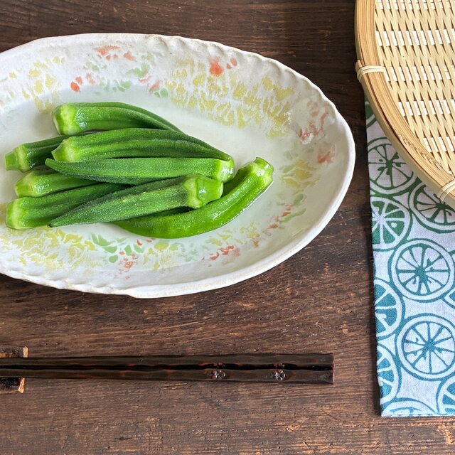 夏淡彩オーバル皿