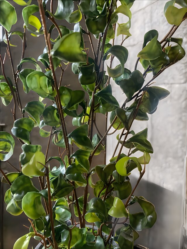 光触媒 人工観葉植物 ウォールグリーン フェイクグリーン