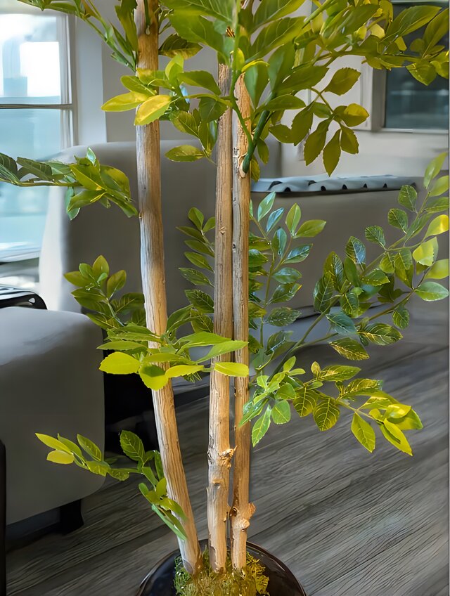 光触媒　人工観葉植物　ウォールグリーン　フェイクグリーン　ゴールデンリーフ601 光触媒 人工観葉植物 ウォールグリーン フェイクグリーン