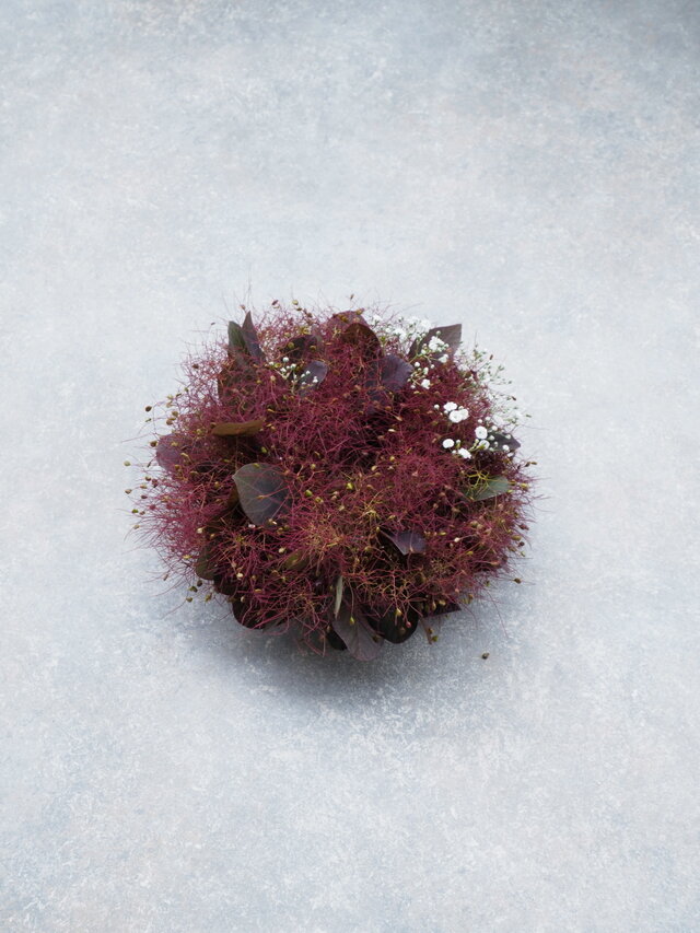 スモークツリーのミニリース18cm-赤