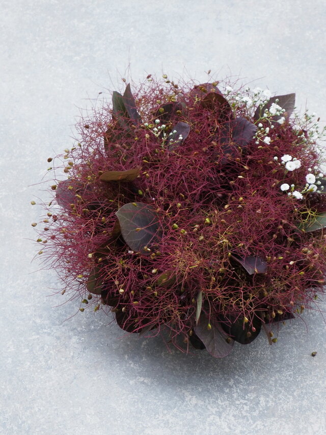 スモークツリーのミニリース　ドライフラワーリース スモークツリーと小花のリース○ドライフラワーリース