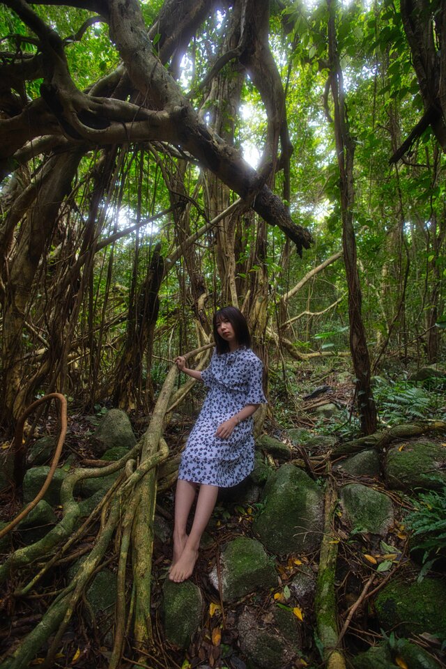 屋久島 魅入られる幻想の森 [4] 【風景写真・ポスターアート インテリア】