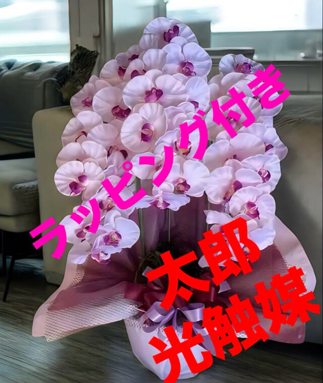 光触媒 人工観葉植物 ウォールグリーン フェイクグリーン リアル