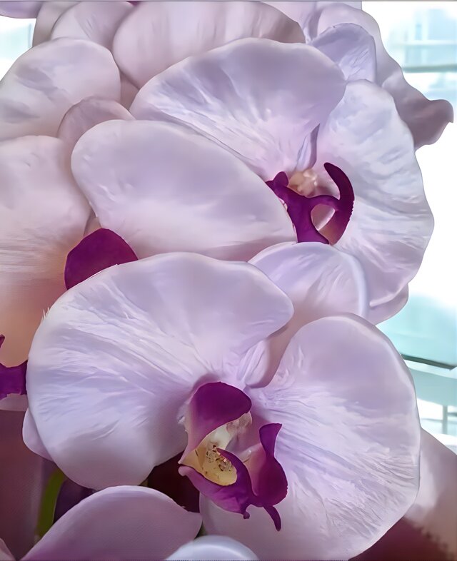 光触媒 人工観葉植物 ウォールグリーン フェイクグリーン 胡蝶蘭