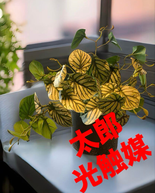 光触媒 人工観葉植物 ウォールグリーン フェイクグリーン お供え花 つかさ 光触媒 人工観葉植物 ウォールグリーン フェイクグリーン スイカ